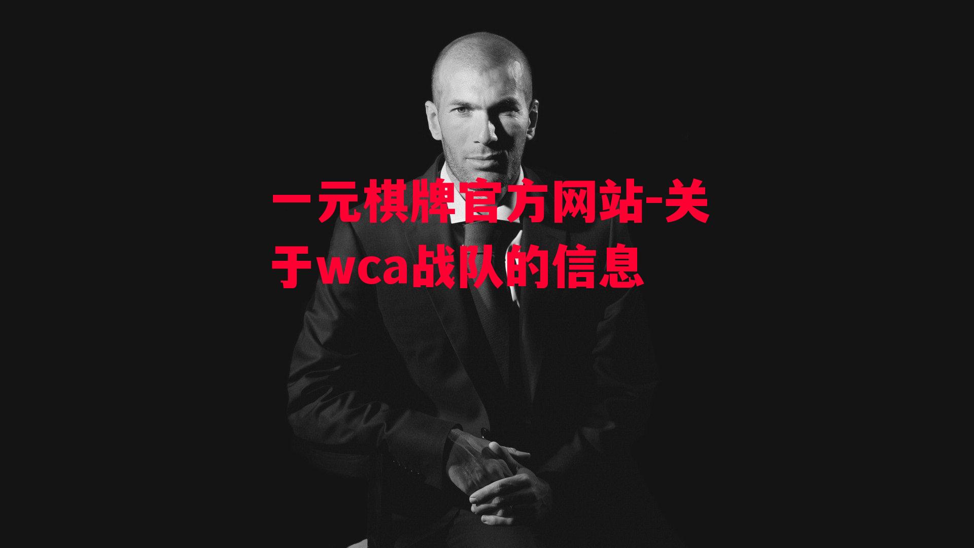 关于wca战队的信息